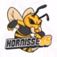 Kanal: Hornisse86