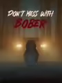 Don't Mess With Bober
