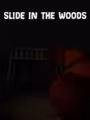 Slide in the Woods