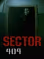 Sector 404