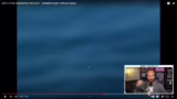 Just Chatting