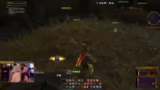 World of Warcraft