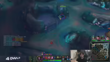 RANK 8 NA START 4owls !na !naelo