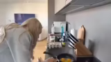 Frühstückszubereitung, Essgew…