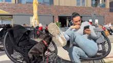 Auto waschen mit dem Waschmeister (Papa…