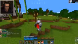 Erste Schritte im Minecraft-R…