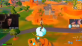 Probleme mit Waffen-Bug in Fo…
