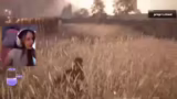 A Plague Tale: Innocence