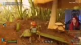 Grounded 2