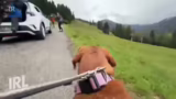 Vorstellung von Hanna und Dis…