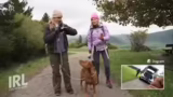 Erfolgreiche Suche mit Elli u…