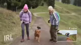 Almabtrieb, Allgäuer Kultur u…