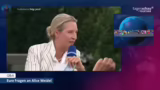 ARD-Sommerinterview: Weidel z…