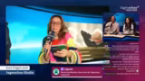 Einblicke in die Studiotechni…