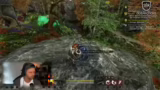 Spielerzahlen, PvP und Conten…