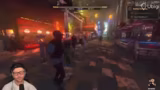 Nivalis Nights