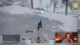 Endgegner, Dungeons und MMO-P…