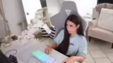 Vorbereitung des Streams mit…