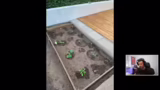 Garten-Update und Community-I…