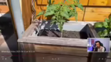 Begrüßung und Garten-Update