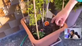 Raid und Gartenprojekte
