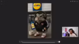 Hamster-Entstehung, Jugendspi…