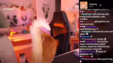 Partnerschaft mit TheBetterCat
