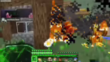 Nether Wave und Schwierigkeit…