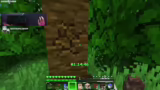Equip-Phase und Wither-Pläne