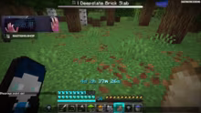XXL PROJEKTFORCE BLOCK = RANDOM MOB DRO…