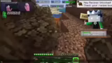 Erklärung des Minecraft Wings…