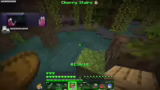 Skip von Cherry Stairs und Su…