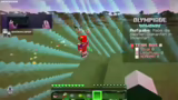 Auswertung von Minecraft Bloc…