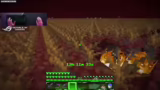 Minecraft-Session: Elytra-Zie…