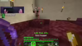 Netherrack, Level und Elytra