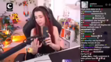 Begrüßung und Stream-Start