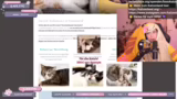 Vorstellung der Webseite und…