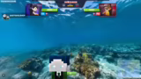Partnerschaften, Minecraft-Se…