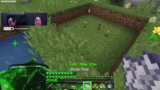 Blumen und morgiger Stream