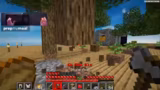 Villager-Trades und Fortschri…