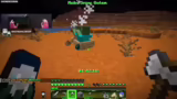 Nether-Reise und Monsterjagd…