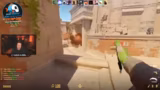 Counter-Strike