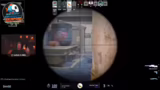 Souvenir-Skins und CS:GO-Skins