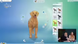 Sims 4: Pipo wird erstellt