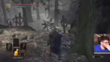 Estus-Scherbe, Dragonrider Bo…