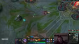 Teamranked loses reinholen snocks