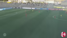 BVB Pokal-Sonntag LIVE: Frauen-Westfale…