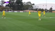 LIVE: FC Fulham - Borussia Dortmund ! P…