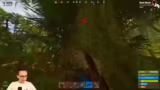Dschungel-Survival, Forest Ra…