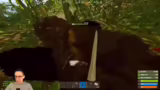 Überlegungen zum BSG-Wipe und…